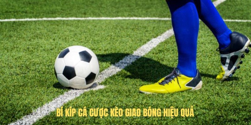 Tips nhận định Kick Off dễ thắng nhất 2024